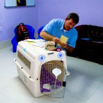 Delmon_Pets_Relocators_Bahrain_Horz (15)