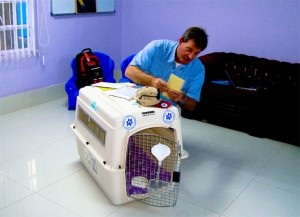 Delmon_Pets_Relocators_Bahrain_Horz (15)