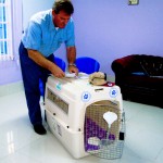 Delmon_Pets_Relocators_Bahrain_Horz (16)