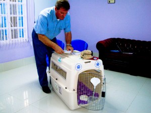 Delmon_Pets_Relocators_Bahrain_Horz (16)