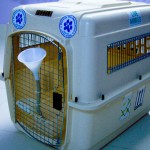 Delmon_Pets_Relocators_Bahrain_Horzn (7)