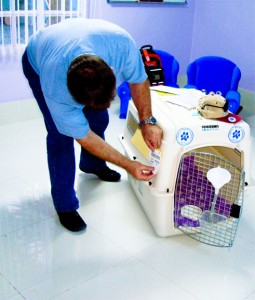 Delmon_Pets_Relocators_Bahrain_Ver (2)