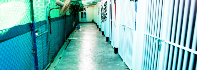 The DBK Facility Gallery